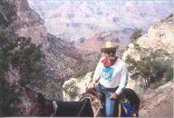 Nationwide accident medical   Special Event Horseback Picture