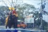 elephant ride