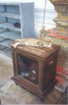 guard cat