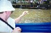 feeding catfish