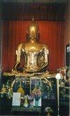 gold Buddha